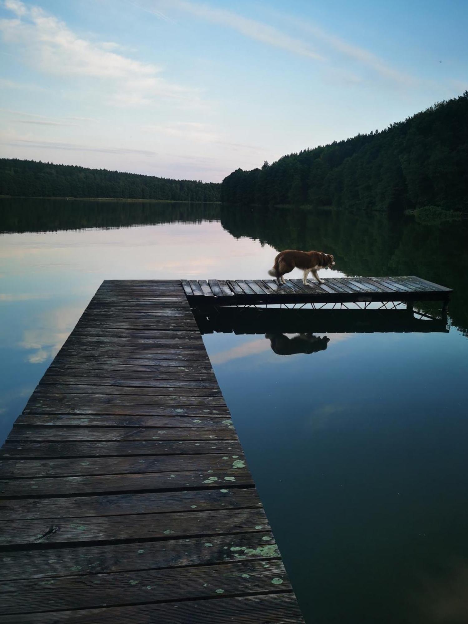 Mlynska Dolina Villa Wałcz Dış mekan fotoğraf