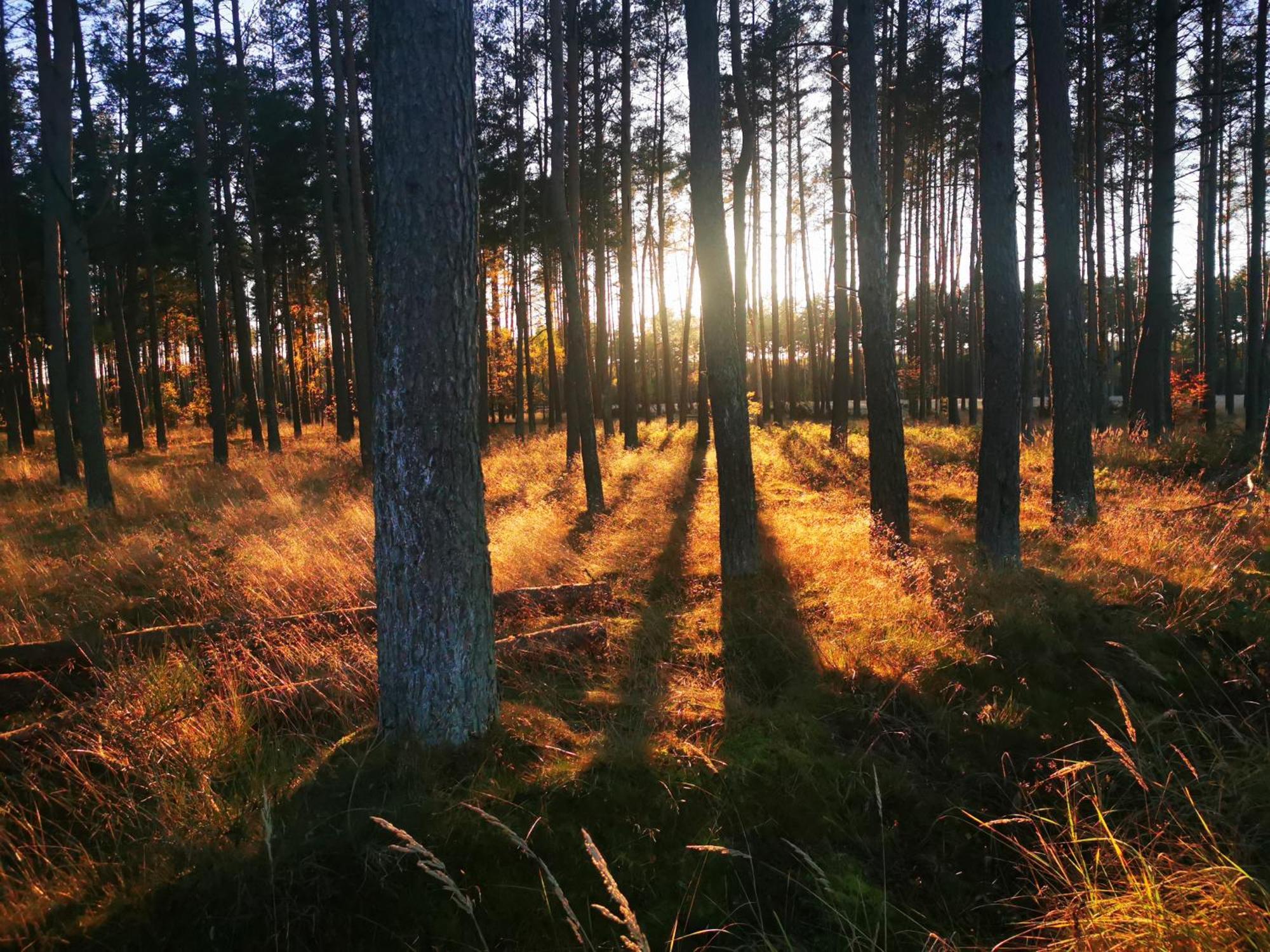 Mlynska Dolina Villa Wałcz Dış mekan fotoğraf