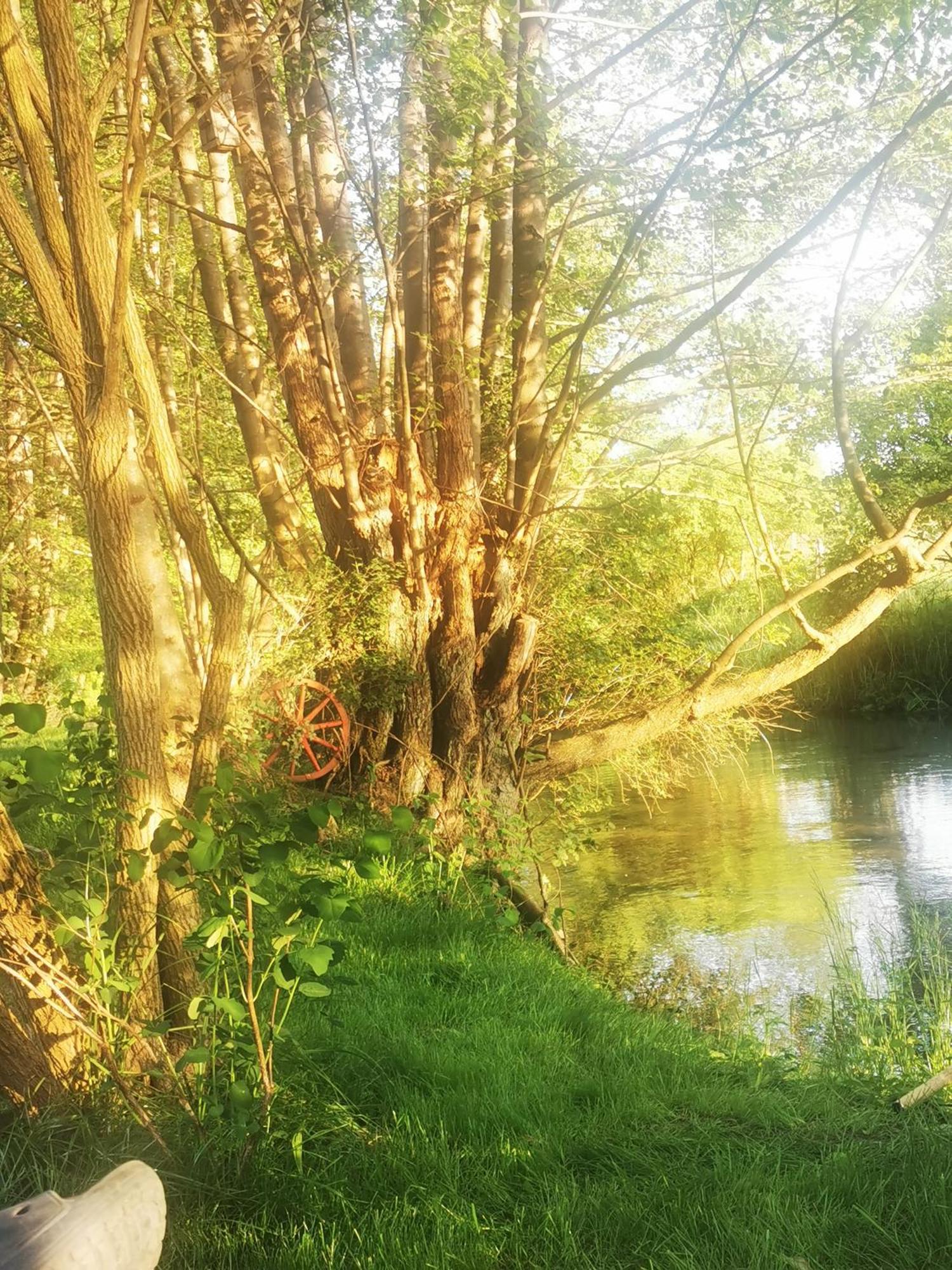 Mlynska Dolina Villa Wałcz Dış mekan fotoğraf